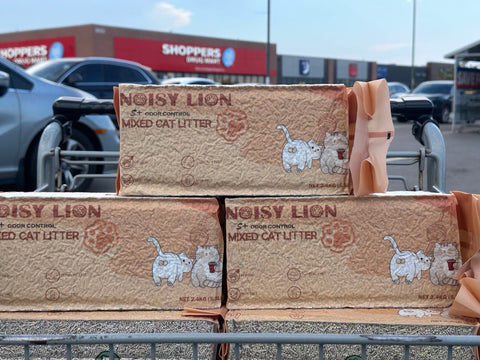 Why Noisy Lion Cat Litter is the Perfect Choice for Canadian Cat Owners - Noisylion