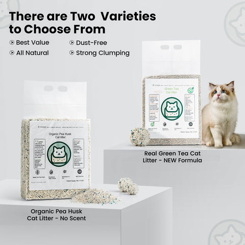 Green Tea Tofu Cat Litter - Noisylion